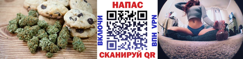 где купить наркотик  Новороссийск  Canna-Cookies конопля 