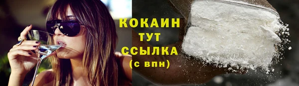 сатива Беломорск