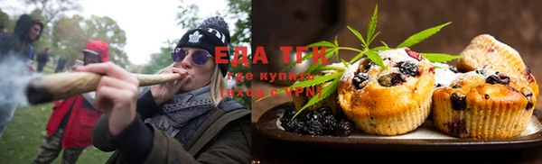 спиды Богородицк