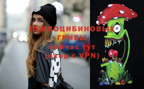 спиды Богородицк