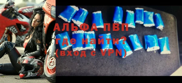 сатива Беломорск