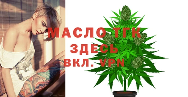 спиды Богородицк