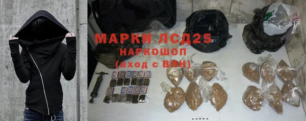 спиды Богородицк